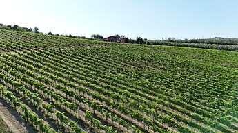 Cantina D'Erasmo