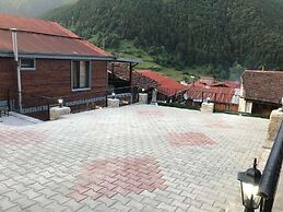 Garden House Uzungöl