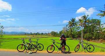 Green Areca villa