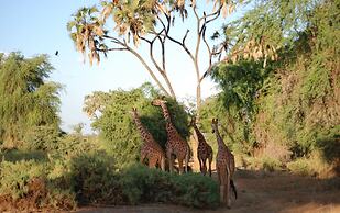 Elephant Bedroom Camp