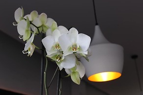 Hostal Baleàric - Adults Only