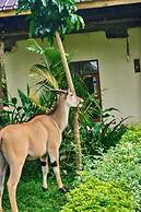 Arusha Safari Lodge