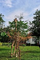 Arusha Safari Lodge