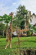 Arusha Safari Lodge