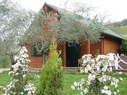 Villa Clementine