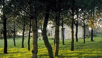 Villa Clementine