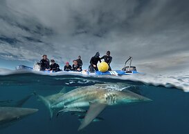 Blue Marlin All-Inclusive Seascape by Dream Resorts