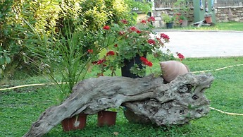 Koroni Village