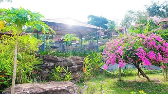 Daisy Resort