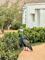 Lunja Village Taghazout