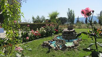 Shine Studios