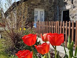 Bronwye Guest House