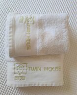Twin House