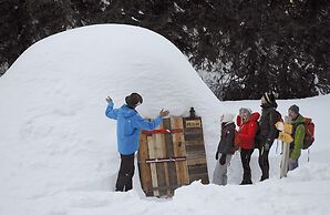 Eco Bivouac Village D'Igloo - Campground