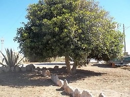 Blu Green Lampedusa