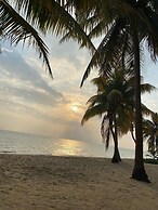 Coconut Row Boutique Hotel