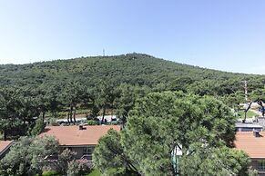 D Resort Ayvalık