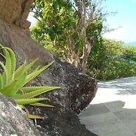 Galley Bay Cottages