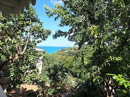 Galley Bay Cottages