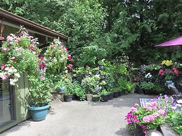 Misty Meadows B&B