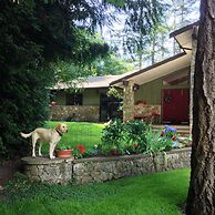 Misty Meadows B&B