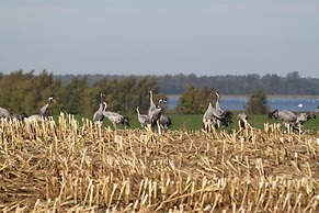 Hotel Seeblick
