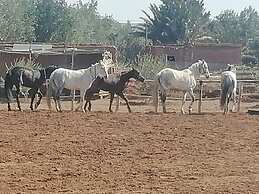 Dar Alfourssane ferme d'hote