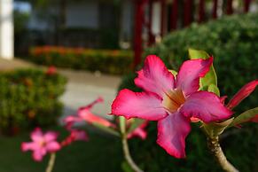 Olivia Resort Homes