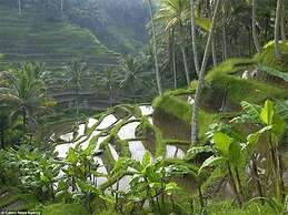 Green View Private Villas