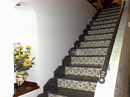 Farfalle E Gabbiani
