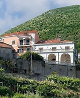 Farfalle E Gabbiani