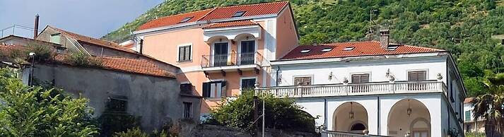 Farfalle E Gabbiani