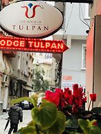The House of Tulpan