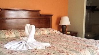 Posada Hidalgo Inn