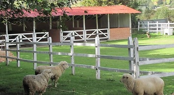 Posada del Puruay