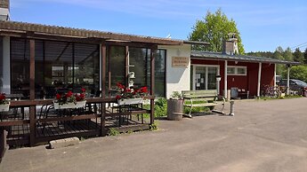 Koivukankare