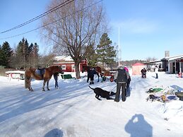Koivukankare