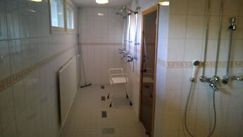 Koivukankare