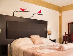 Casona de las Aves