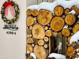 HAKUBA Moegi HOTEL