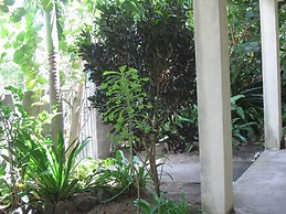Culture House