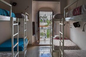 Island Life Hostel