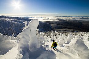 Vacation Homes by Big White Accomm.