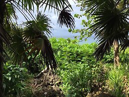 Cocolobo Resort