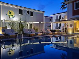 Cactus Hotel