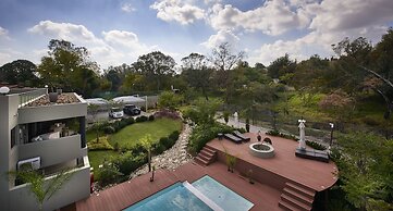 Dynasty Forest Sandown Accommodation