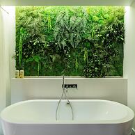 MiHotel