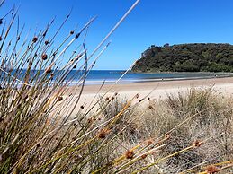 Cable Bay Stays – Golden Sand and Driftwood Beachfront Accommodation