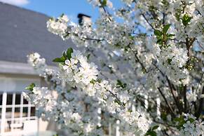 Villa Orchard Frankfurt