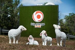 Big Orange Hotel